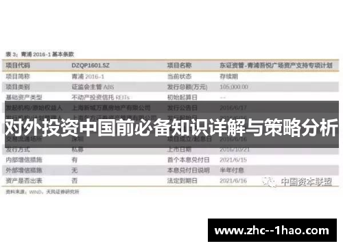 对外投资中国前必备知识详解与策略分析
